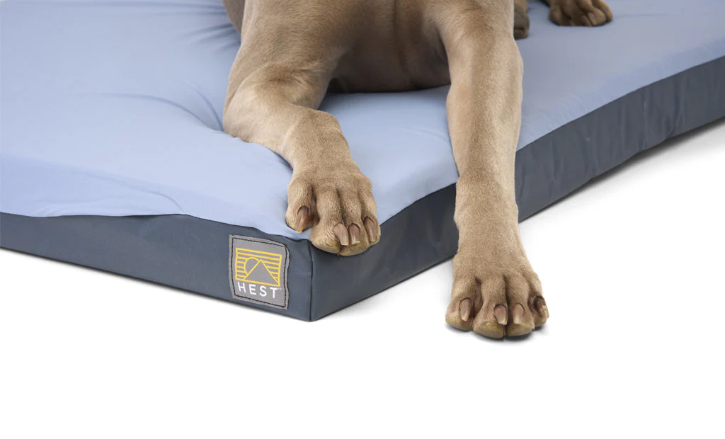 Hest Dog Bed - Image 13