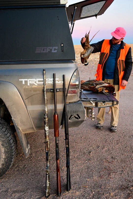 Rig Strip Sunstrip - Image 5